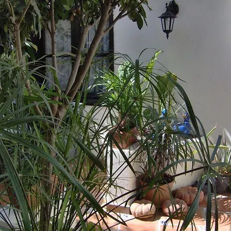 Apartamentos-monasterio-de-san-antonio-apartment-im-englischen-stil-mit-meerblick *