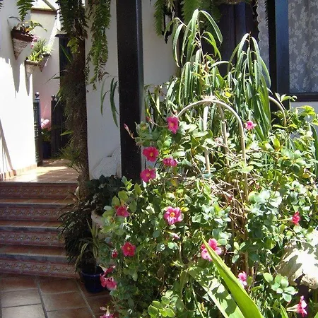 Apartamentos-monasterio-de-san-antonio-apartment-im-englischen-stil-mit-meerblick * Icod De Los Vinos